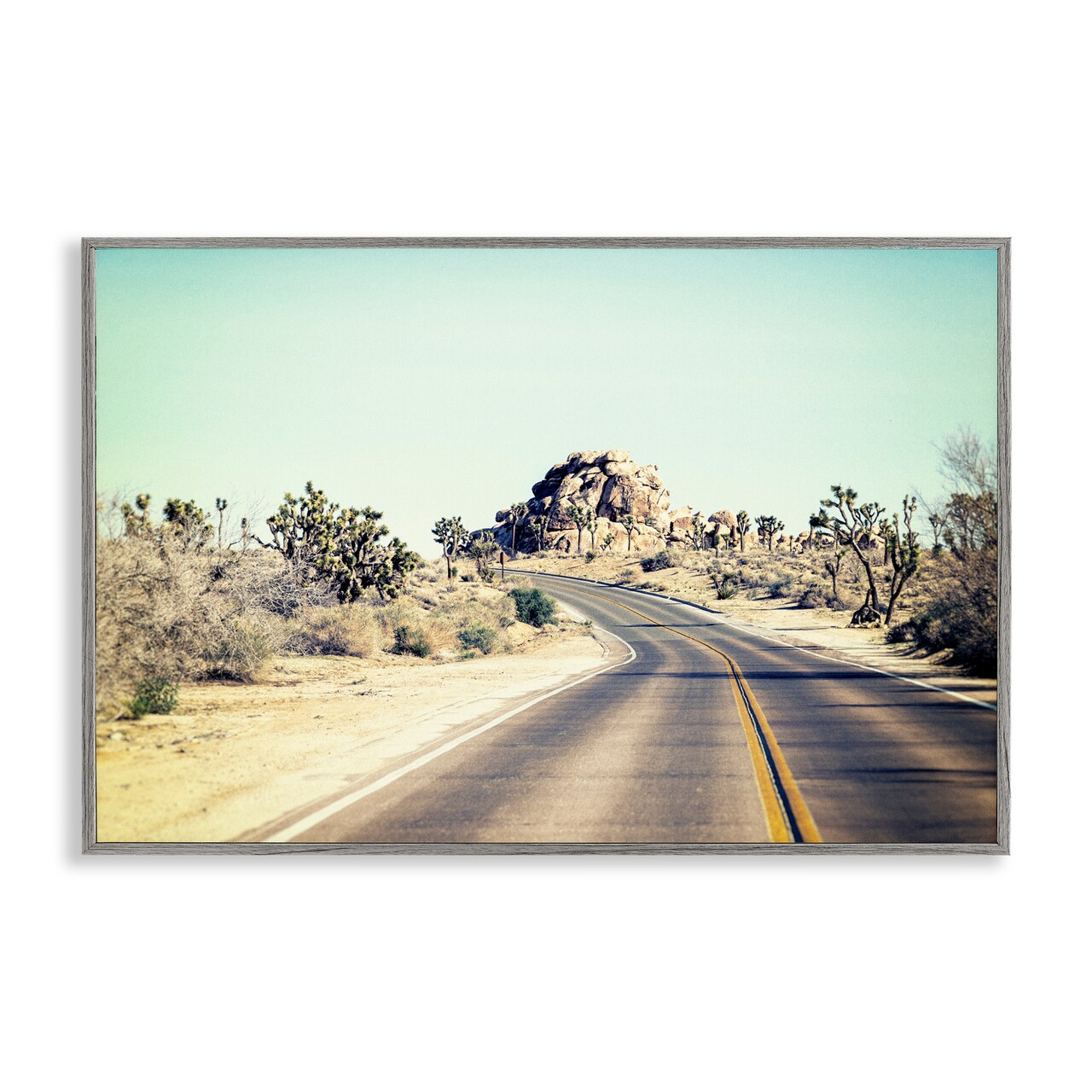 Stupell Industries Road Trip Joshua Tree Park Framed Giclee, design by Joseph S Giacalone